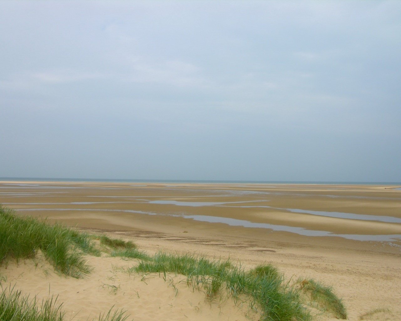 Обои трава, песок, отлив, grass, sand, tide разрешение 1920x1440 Загрузить