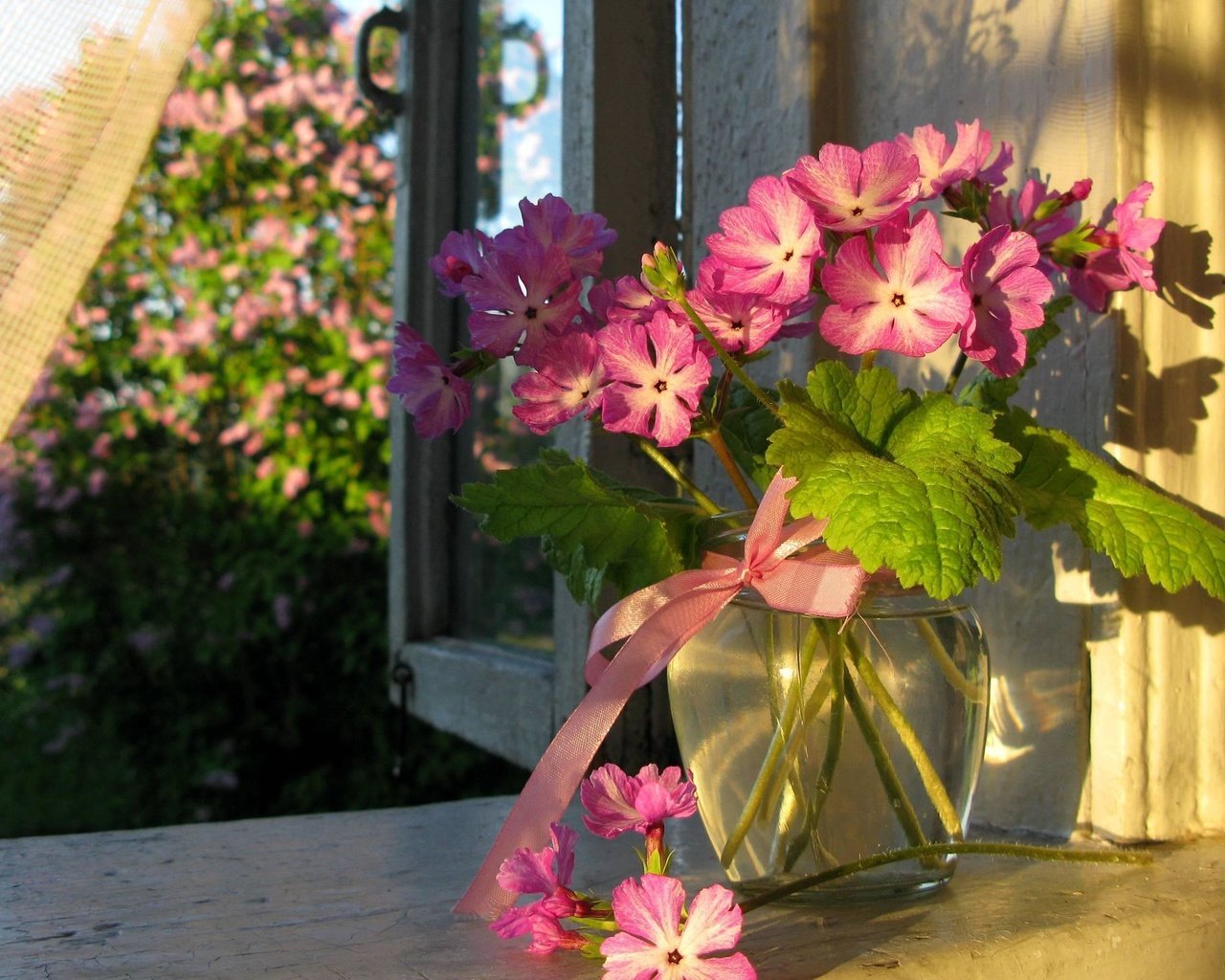Обои цветы, лето, окно, ваза, занавеска, flowers, summer, window, vase, curtain разрешение 2560x1600 Загрузить