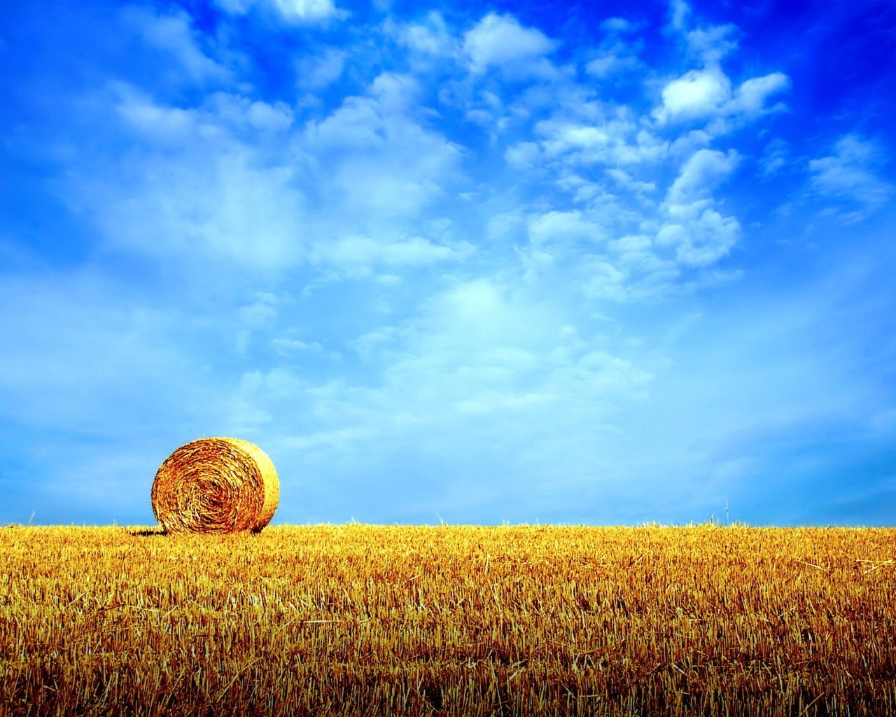 Обои небо, облака, поле, горизонт, сено, стог, the sky, clouds, field, horizon, hay, stack разрешение 1920x1440 Загрузить