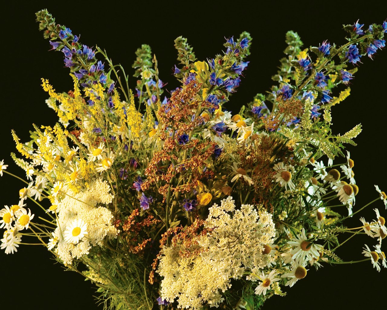 Обои цветы, фон, ромашки, букет, полевые цветы, flowers, background, chamomile, bouquet, wildflowers разрешение 1920x1200 Загрузить