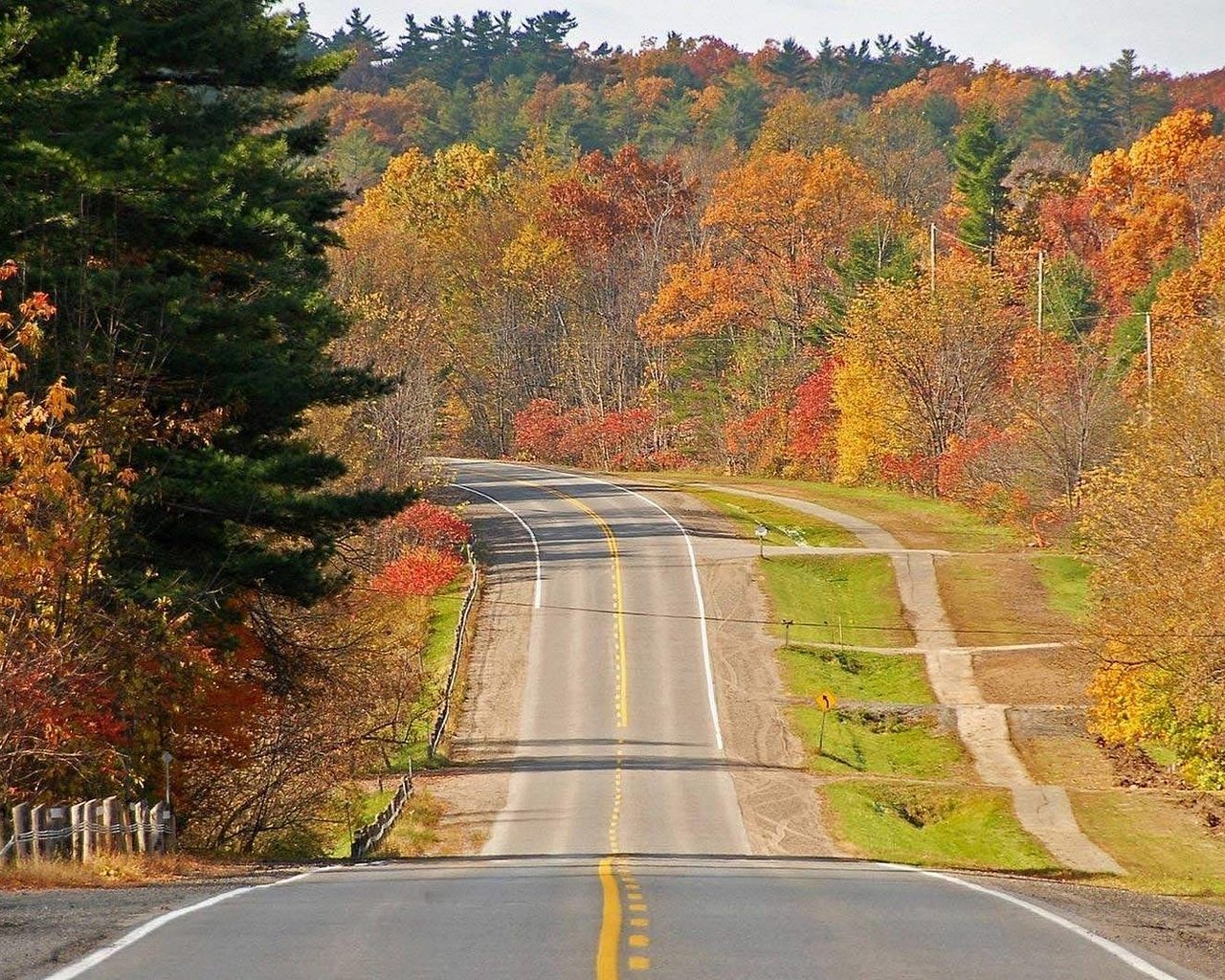 Обои дорога, деревья, лес, осень, road, trees, forest, autumn разрешение 1920x1080 Загрузить