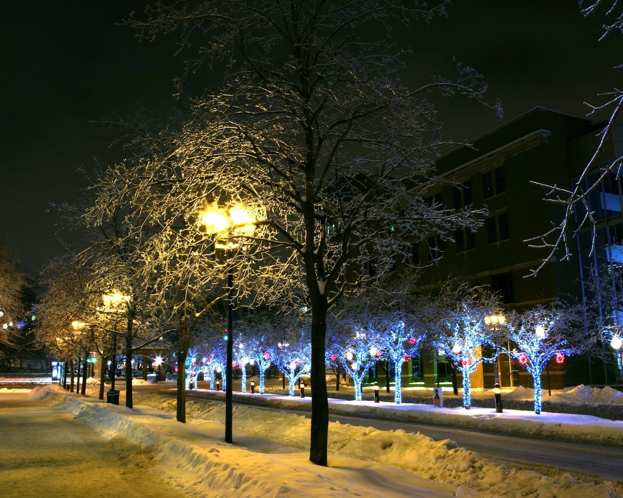 Обои деревья, фонари, огни, снег, зима, город, trees, lights, snow, winter, the city разрешение 2560x1600 Загрузить