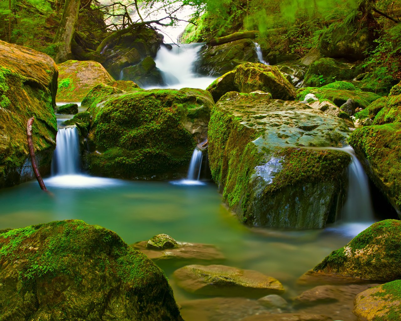 Обои лес, водопад, мох, forest, waterfall, moss разрешение 4752x3168 Загрузить