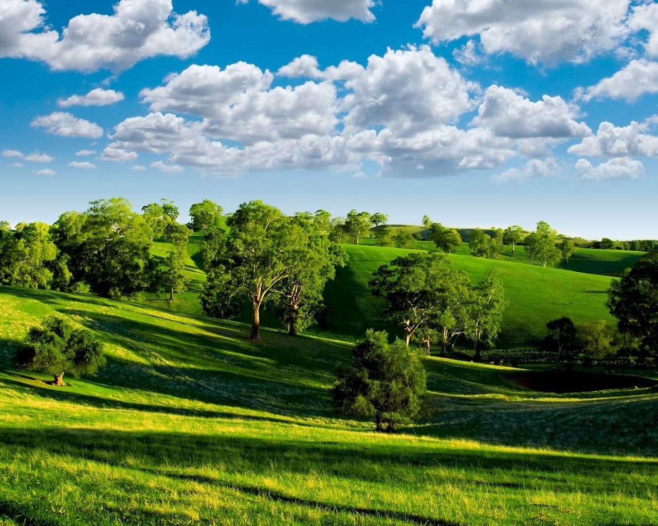 Обои небо, луга, облака, деревья, холмы, зелень, пейзаж, лето, тени, the sky, meadows, clouds, trees, hills, greens, landscape, summer, shadows разрешение 1920x1200 Загрузить