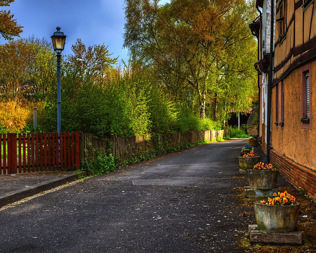 Обои деревья, осень, забор, улица, дом, фонарь, trees, autumn, the fence, street, house, lantern разрешение 1920x1200 Загрузить