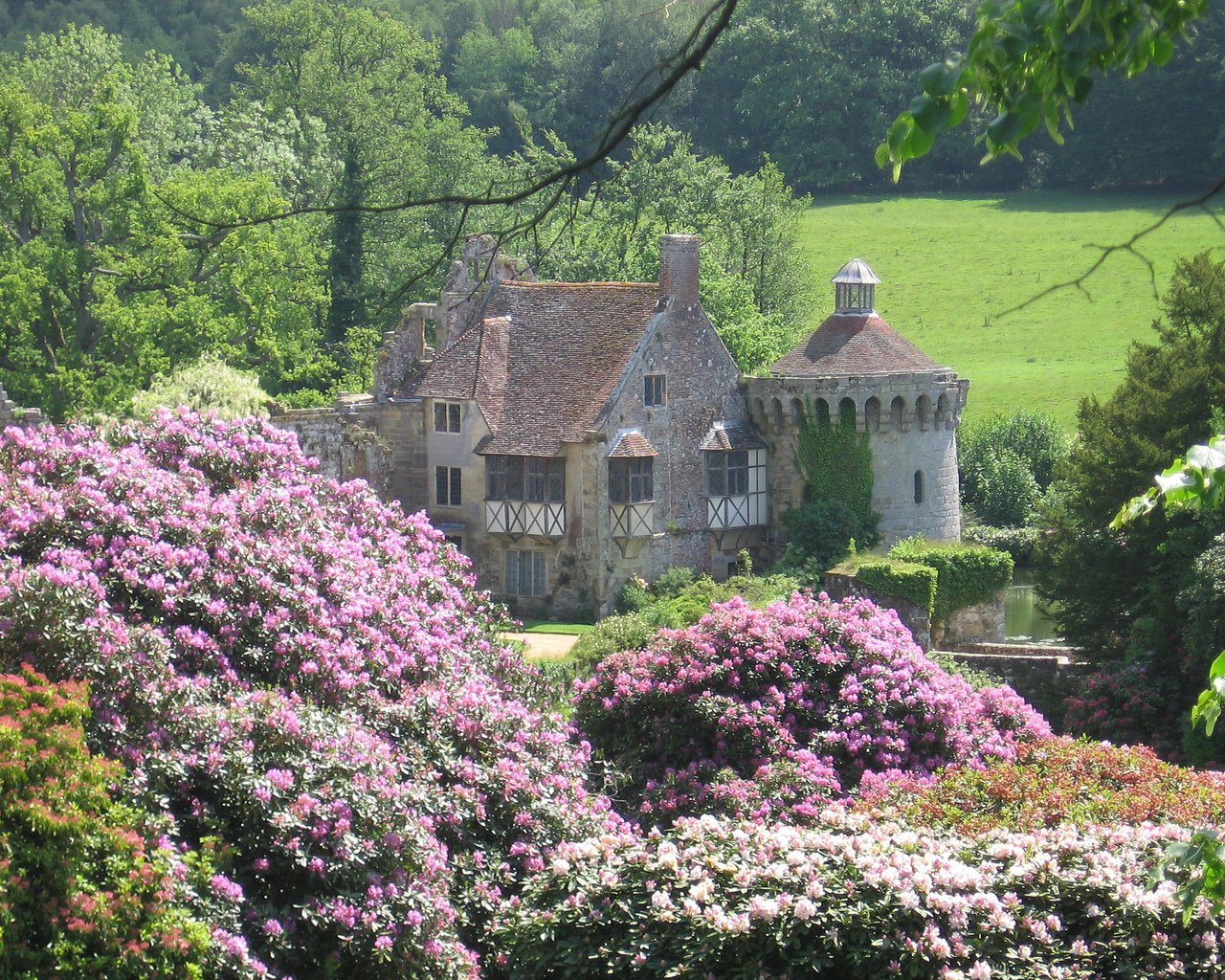 Обои цветы, зелень, лето, замок, flowers, greens, summer, castle разрешение 2272x1704 Загрузить