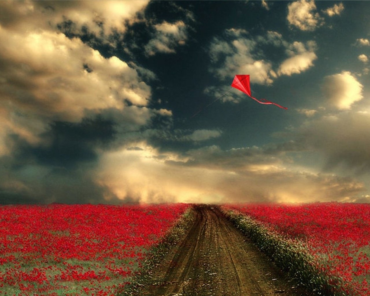 Обои дорога, цветы, облака, поле, воздушный змей. небо, road, flowers, clouds, field, kite. the sky разрешение 2560x1600 Загрузить