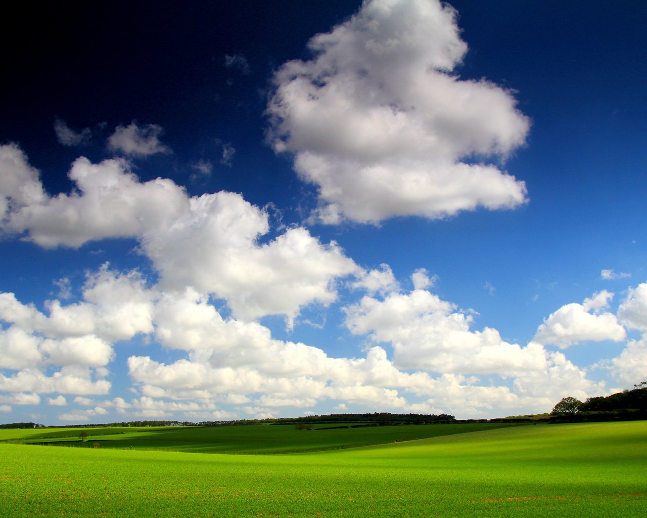 Обои небо, трава, облака, поле, горизонт, the sky, grass, clouds, field, horizon разрешение 5068x3379 Загрузить