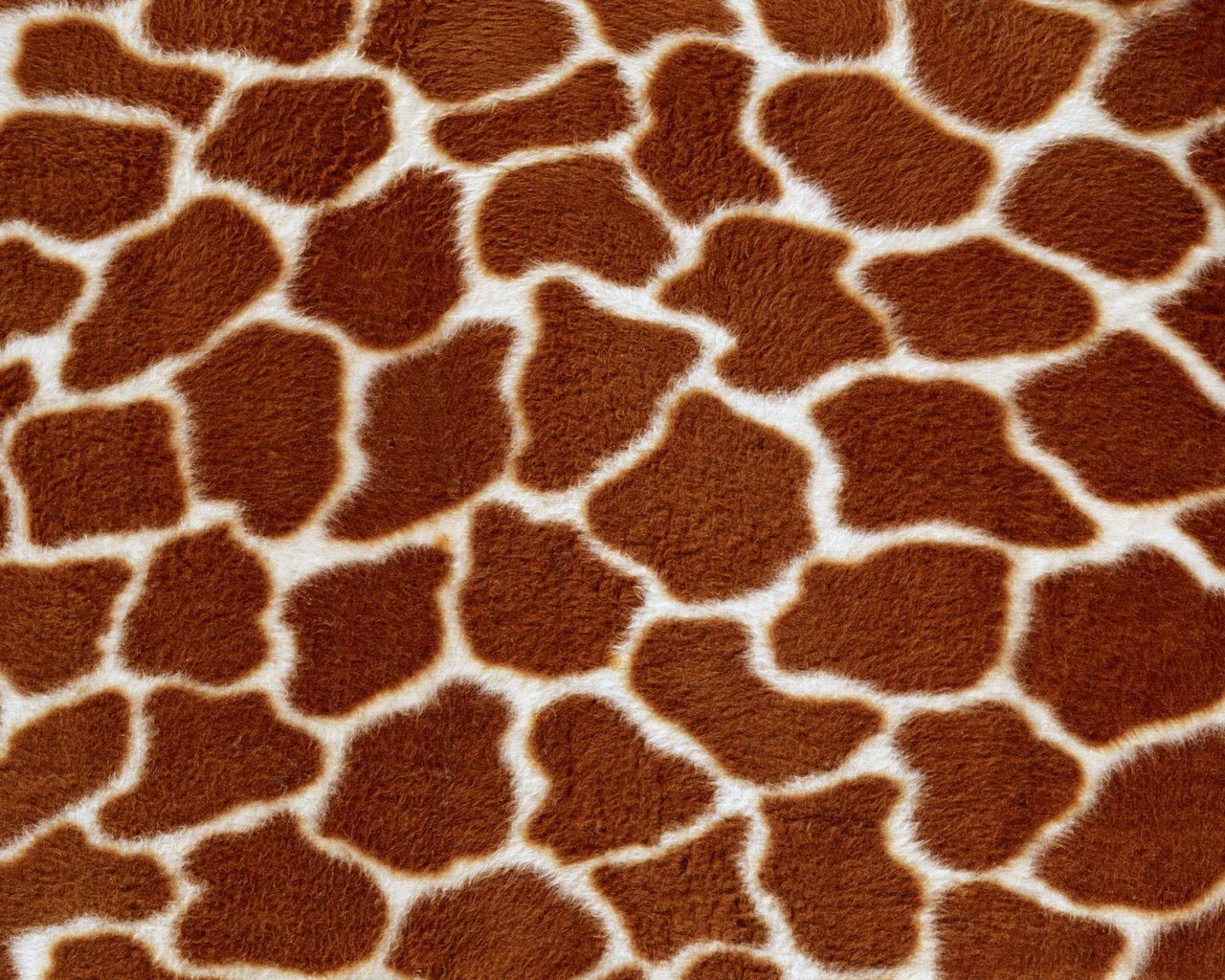 Обои текстура, фон, жираф, мех, texture, background, giraffe, fur разрешение 2560x1600 Загрузить