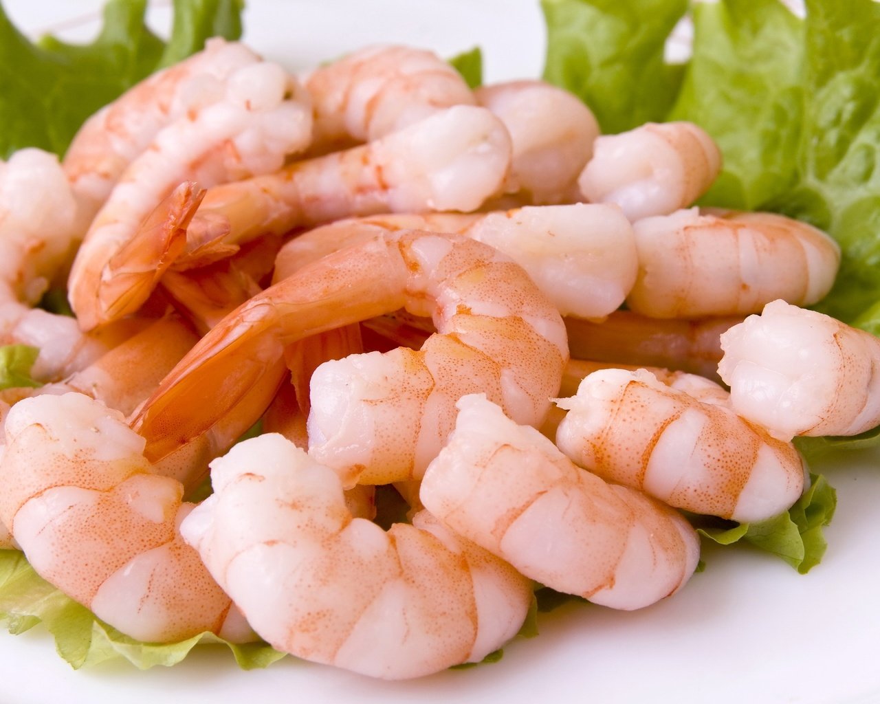 Обои листья, салат, морепродукты, креветки, leaves, salad, seafood, shrimp разрешение 3072x2048 Загрузить