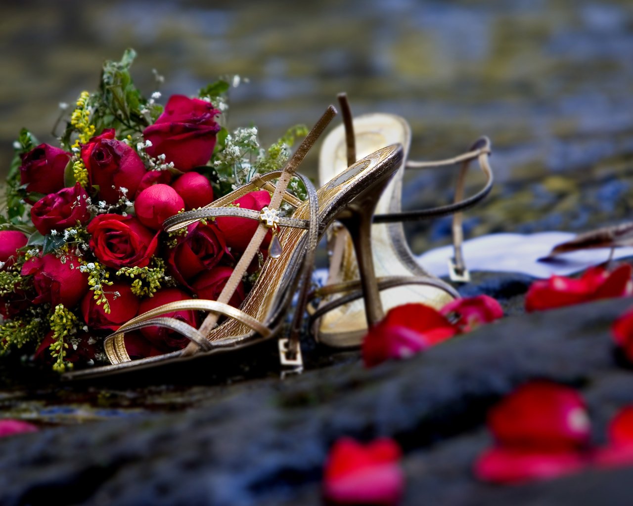 Обои цветы, розы, роза, романтика, букет, свадьба,  цветы, роз, flowers, roses, rose, romance, bouquet, wedding разрешение 2560x1600 Загрузить
