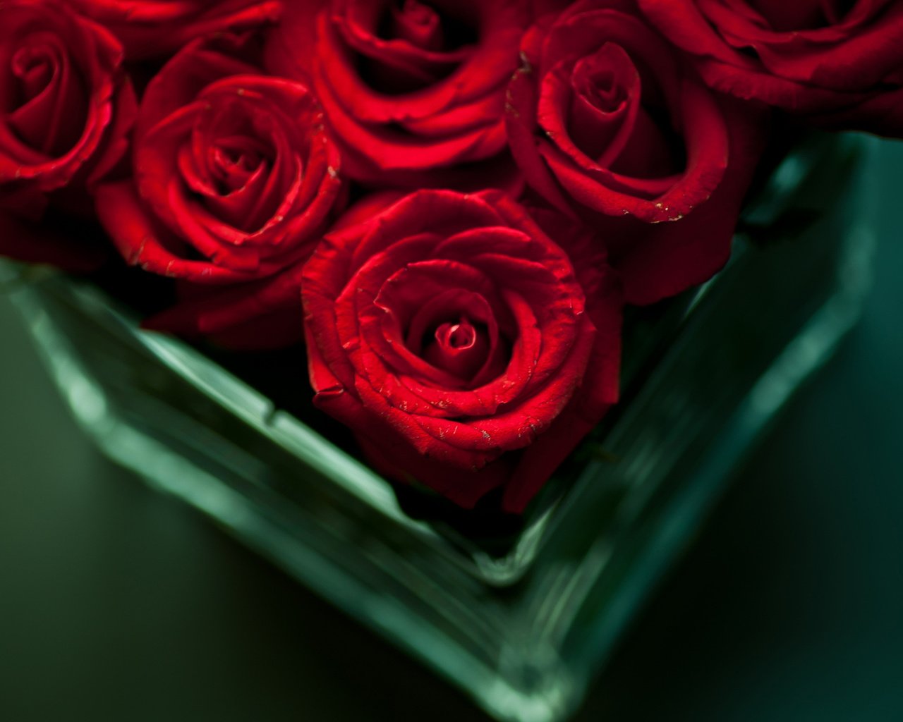 Обои цветы, розы, красные, букет, ваза, flowers, roses, red, bouquet, vase разрешение 1920x1200 Загрузить