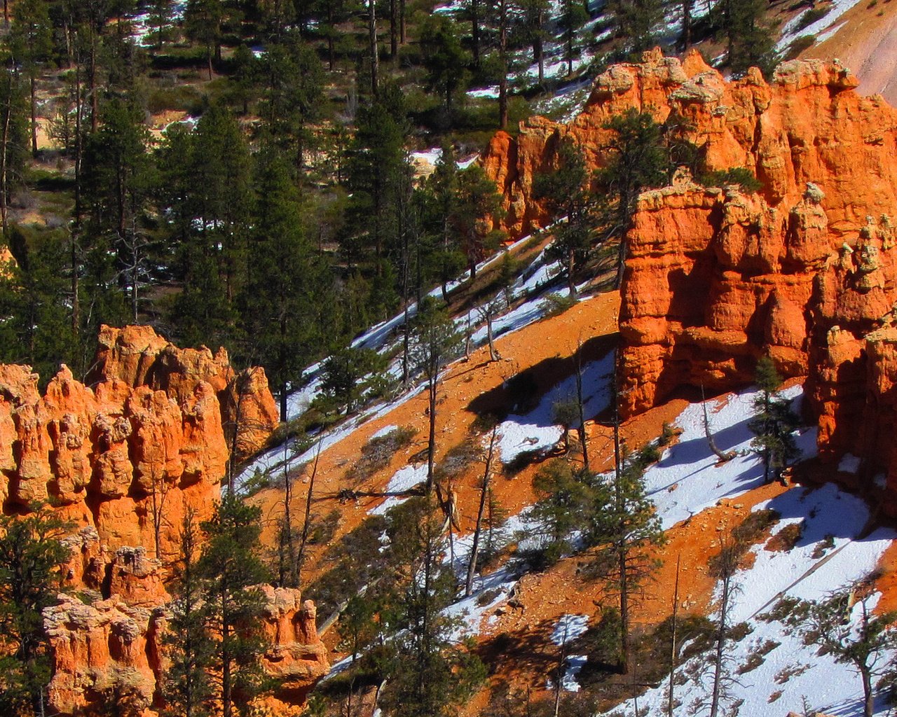 Обои деревья, скалы, снег, пейзаж, каньон, сша, штат юта, trees, rocks, snow, landscape, canyon, usa, utah разрешение 2048x1141 Загрузить