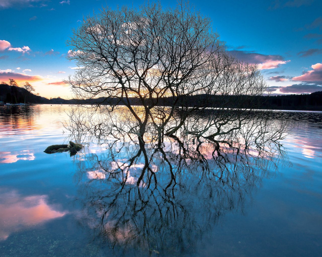 Обои деревья, озеро, лес, закат, отражение, trees, lake, forest, sunset, reflection разрешение 1920x1200 Загрузить