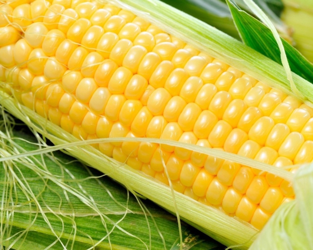 Обои кукуруза, овощи, зерно, злаки, початок, corn, vegetables, grain, cereals, the cob разрешение 1920x1200 Загрузить