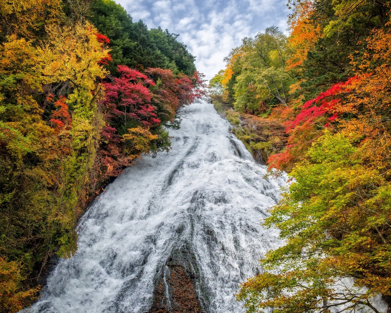 Обои деревья, пейзаж, водопад, осень, япония, yudaki waterfall, trees, landscape, waterfall, autumn, japan разрешение 2880x1920 Загрузить