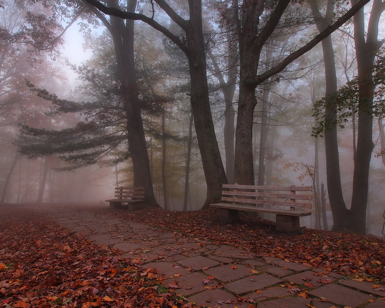 Обои деревья, листья, парк, осень, скамья, trees, leaves, park, autumn, bench разрешение 2048x1342 Загрузить