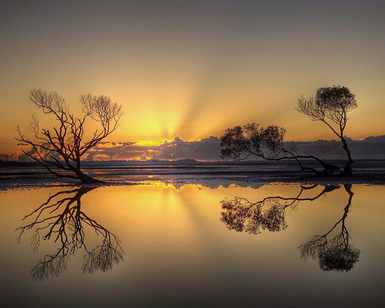 Обои деревья, вечер, озеро, природа, закат, отражение, trees, the evening, lake, nature, sunset, reflection разрешение 5592x3700 Загрузить