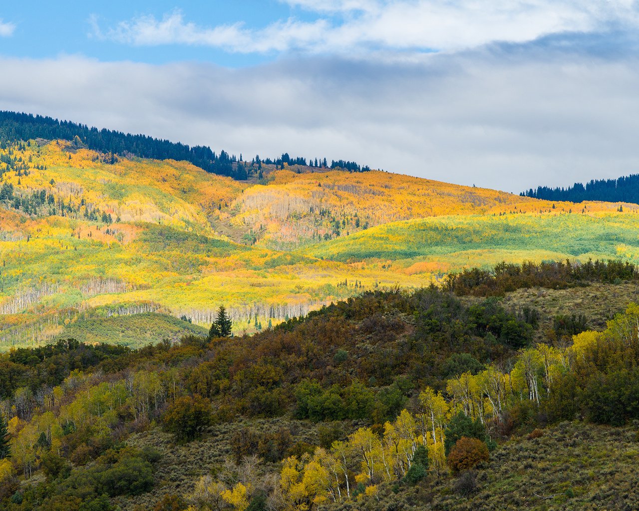 Обои деревья, горы, холмы, пейзаж, осень, trees, mountains, hills, landscape, autumn разрешение 1920x1280 Загрузить