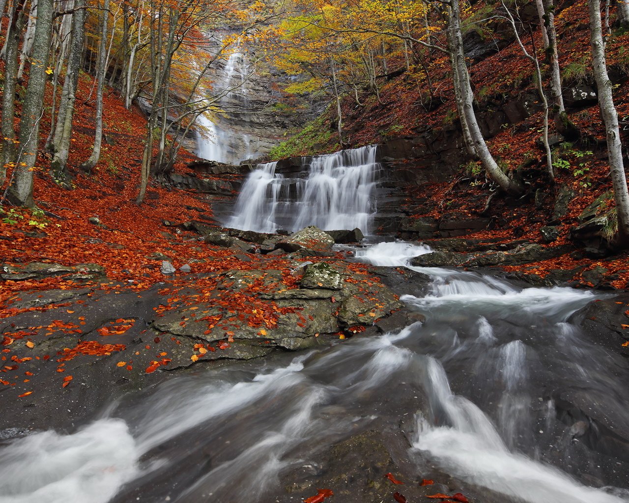 Обои река, природа, лес, водопад, осень, river, nature, forest, waterfall, autumn разрешение 1998x1334 Загрузить