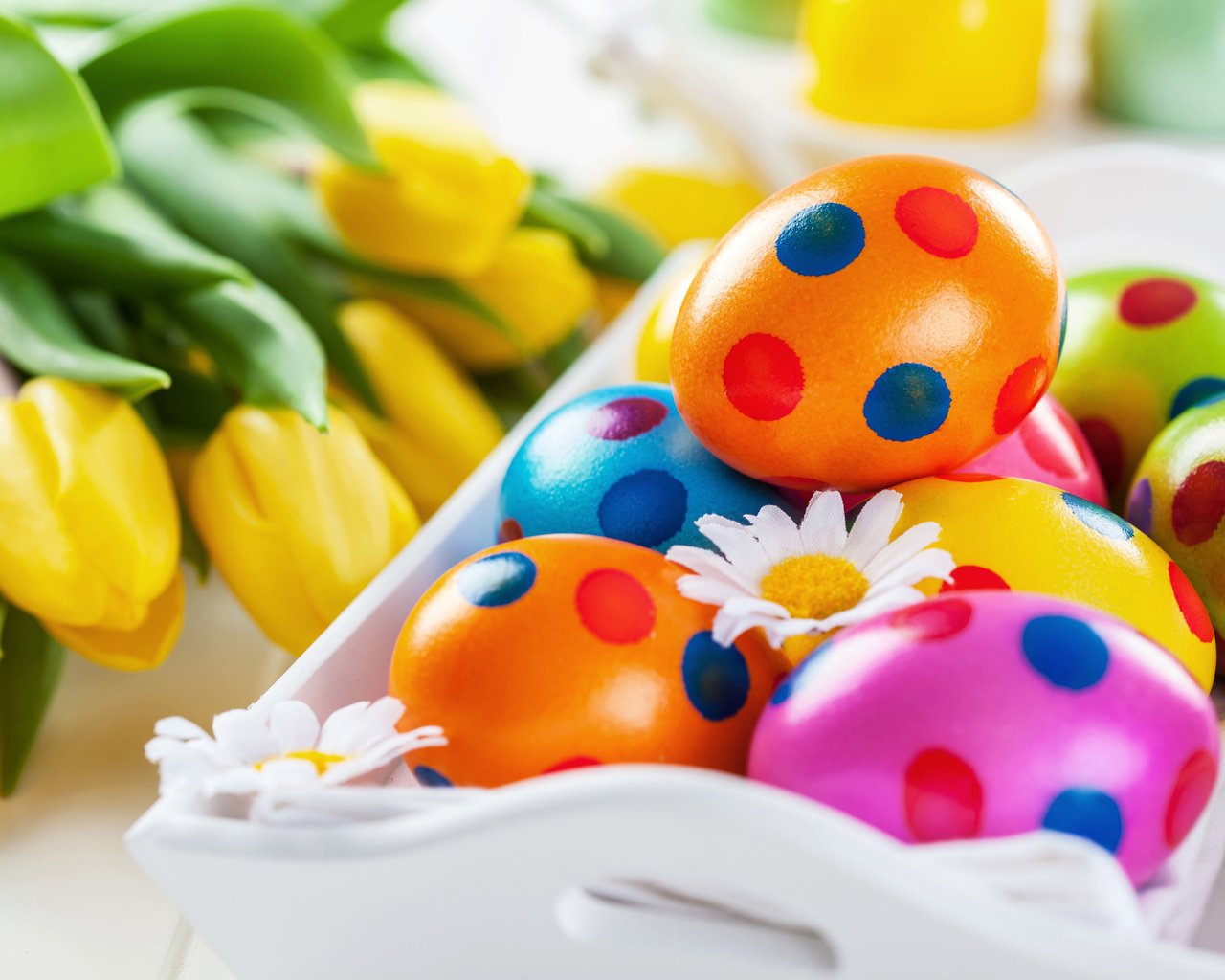 Обои разноцветные, весна, тюльпаны, пасха, яйца, тульпаны, зеленые пасхальные, colorful, spring, tulips, easter, eggs разрешение 5616x3744 Загрузить