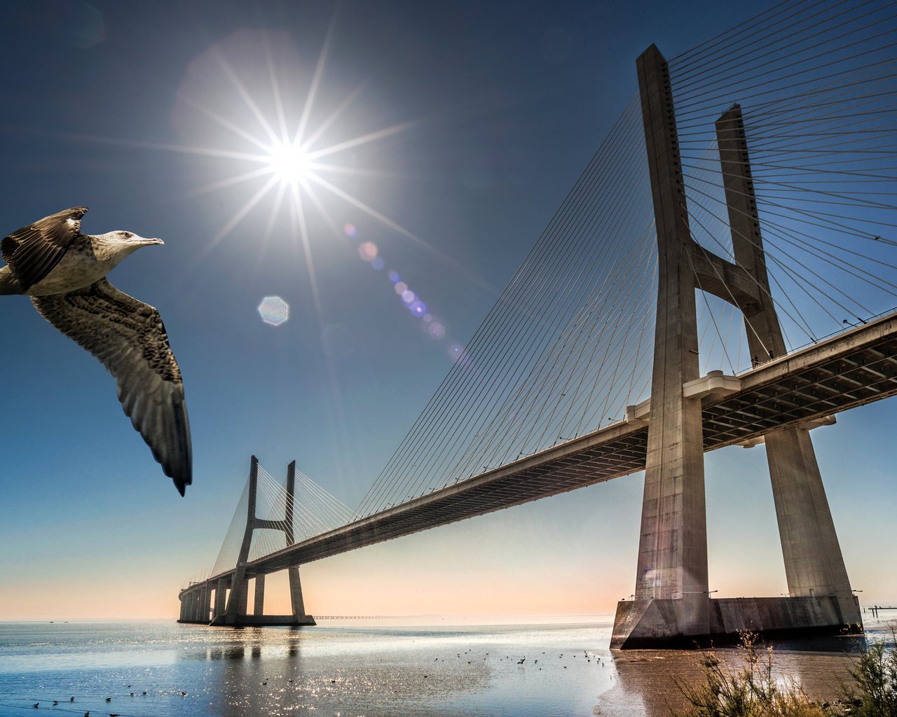 Обои мост, чайка, птица, португалия, лиссабон, bridge, seagull, bird, portugal, lisbon разрешение 2048x1272 Загрузить