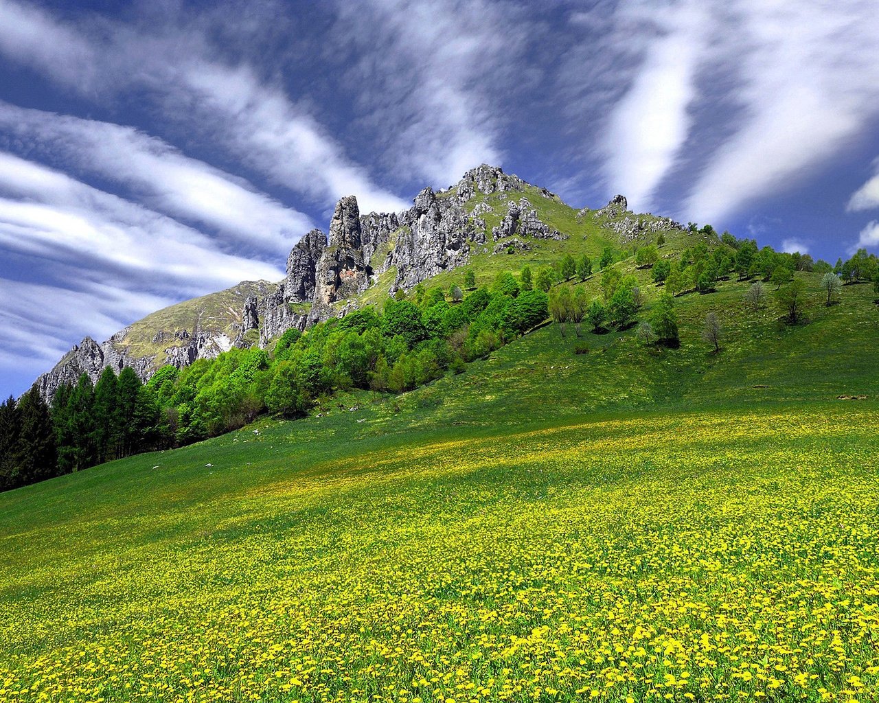 Обои небо, цветы, трава, облака, скала, гора, the sky, flowers, grass, clouds, rock, mountain разрешение 2048x1108 Загрузить