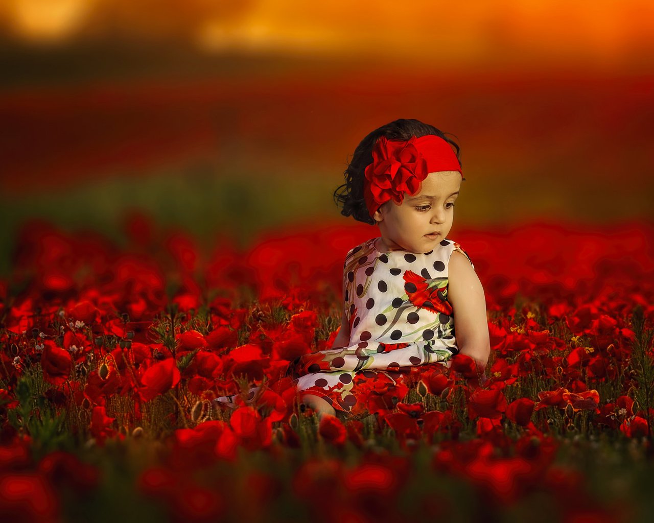 Обои цветы, настроение, маки, девочка, повязка, боке, flowers, mood, maki, girl, headband, bokeh разрешение 2048x1367 Загрузить