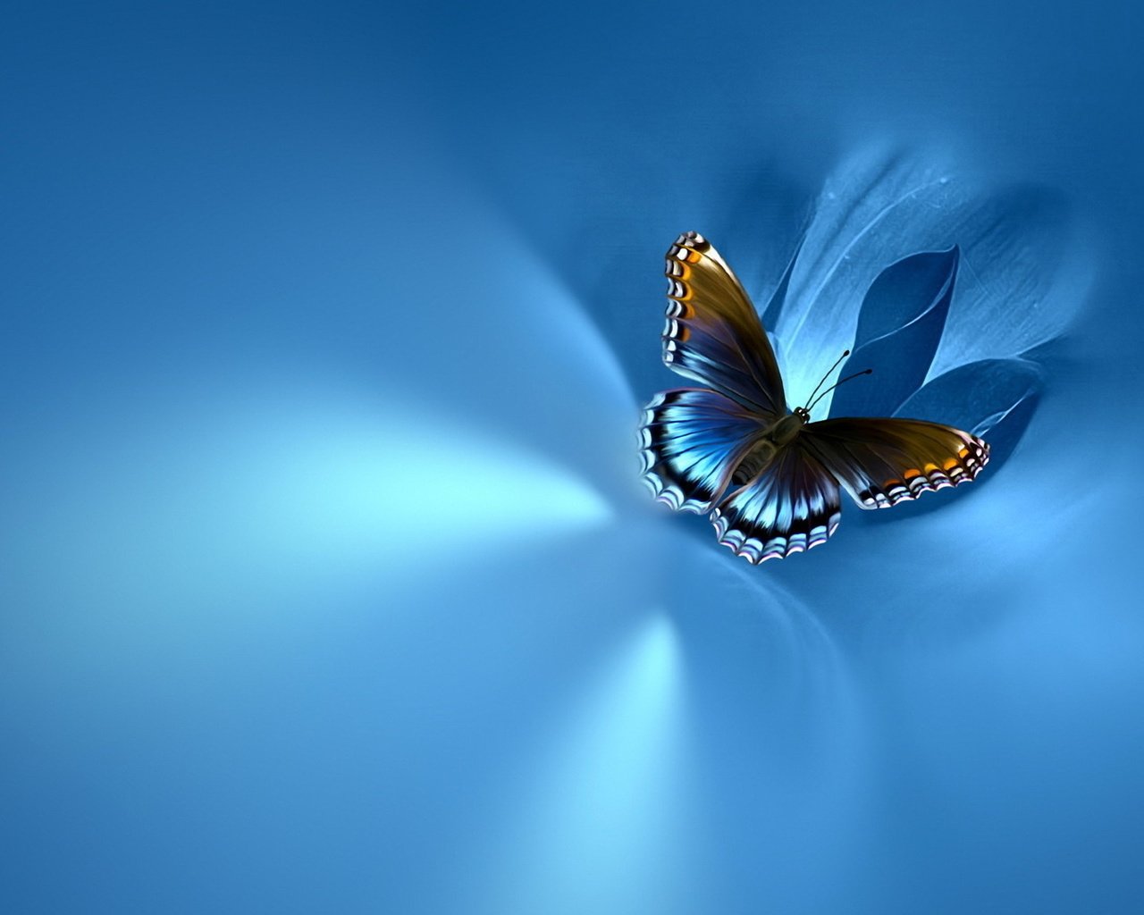 Обои фон, бабочка, на синем, background, butterfly, blue разрешение 1920x1080 Загрузить