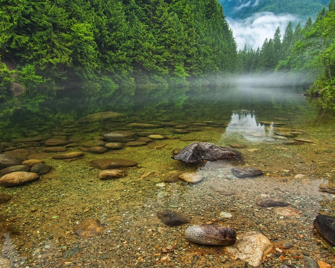 Обои деревья, вода, река, природа, камни, пейзаж, trees, water, river, nature, stones, landscape разрешение 1920x1080 Загрузить