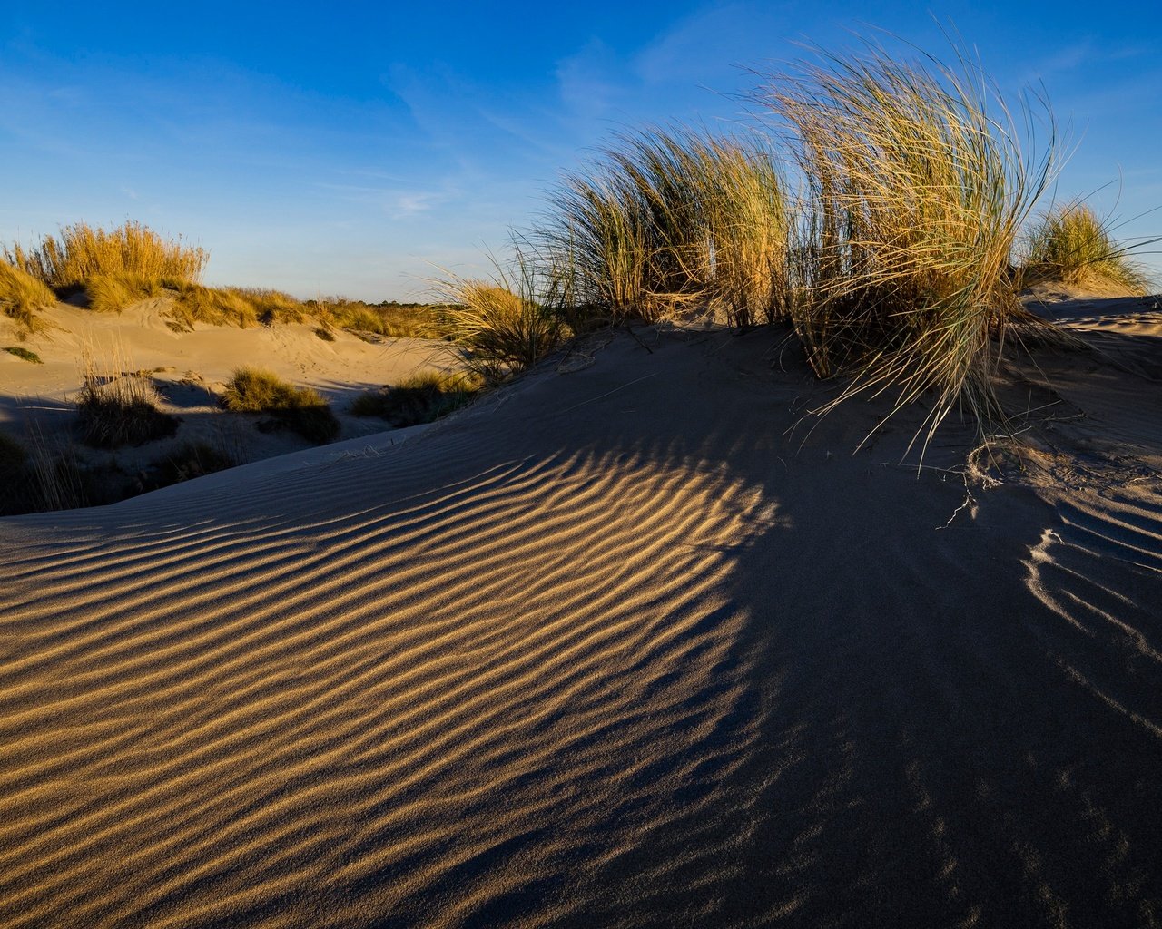 Обои трава, песок, франция, дюны, ле гро-дю-руа, grass, sand, france, dunes, le grau-du-roi разрешение 2048x1367 Загрузить