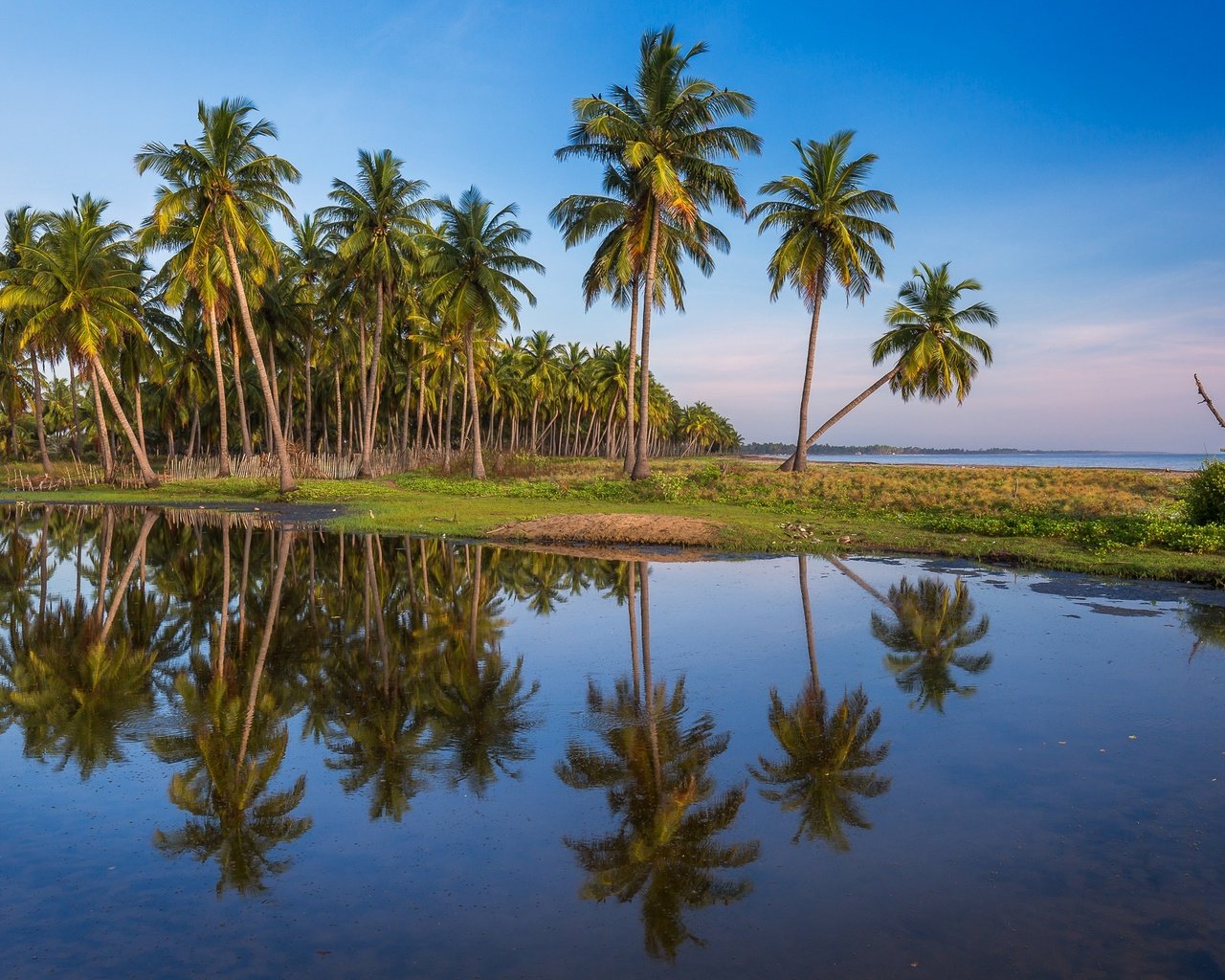 Обои небо, отражение, пейзаж, море, пальмы, пальма, the sky, reflection, landscape, sea, palm trees, palma разрешение 2048x1297 Загрузить