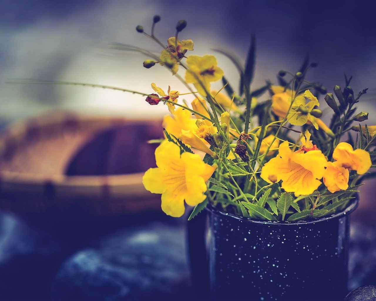 Обои цветы, кружка, желтые, букетик, flowers, mug, yellow, a bunch разрешение 2048x1365 Загрузить