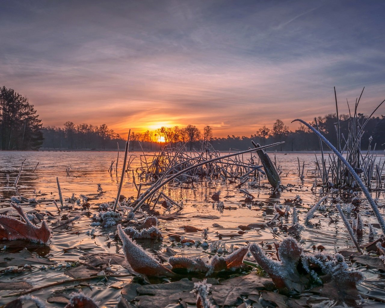 Обои небо, деревья, озеро, солнце, закат, иней, the sky, trees, lake, the sun, sunset, frost разрешение 2048x1238 Загрузить