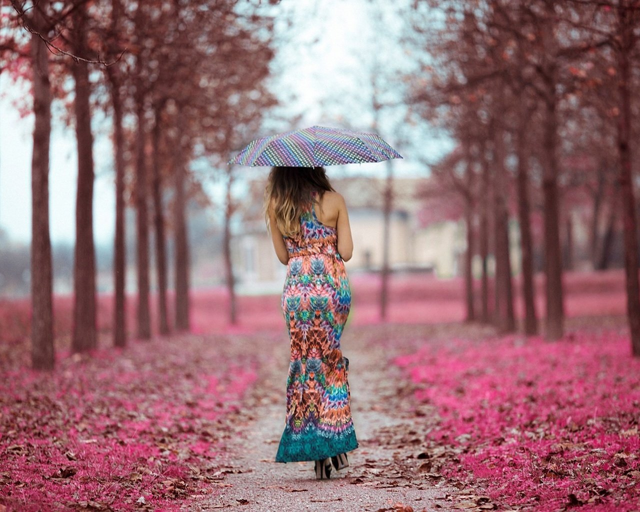 Обои девушка, платье, осень, дождь, зонт, аллея, спиной, опавшие листья, girl, dress, autumn, rain, umbrella, alley, back, fallen leaves разрешение 2560x1706 Загрузить