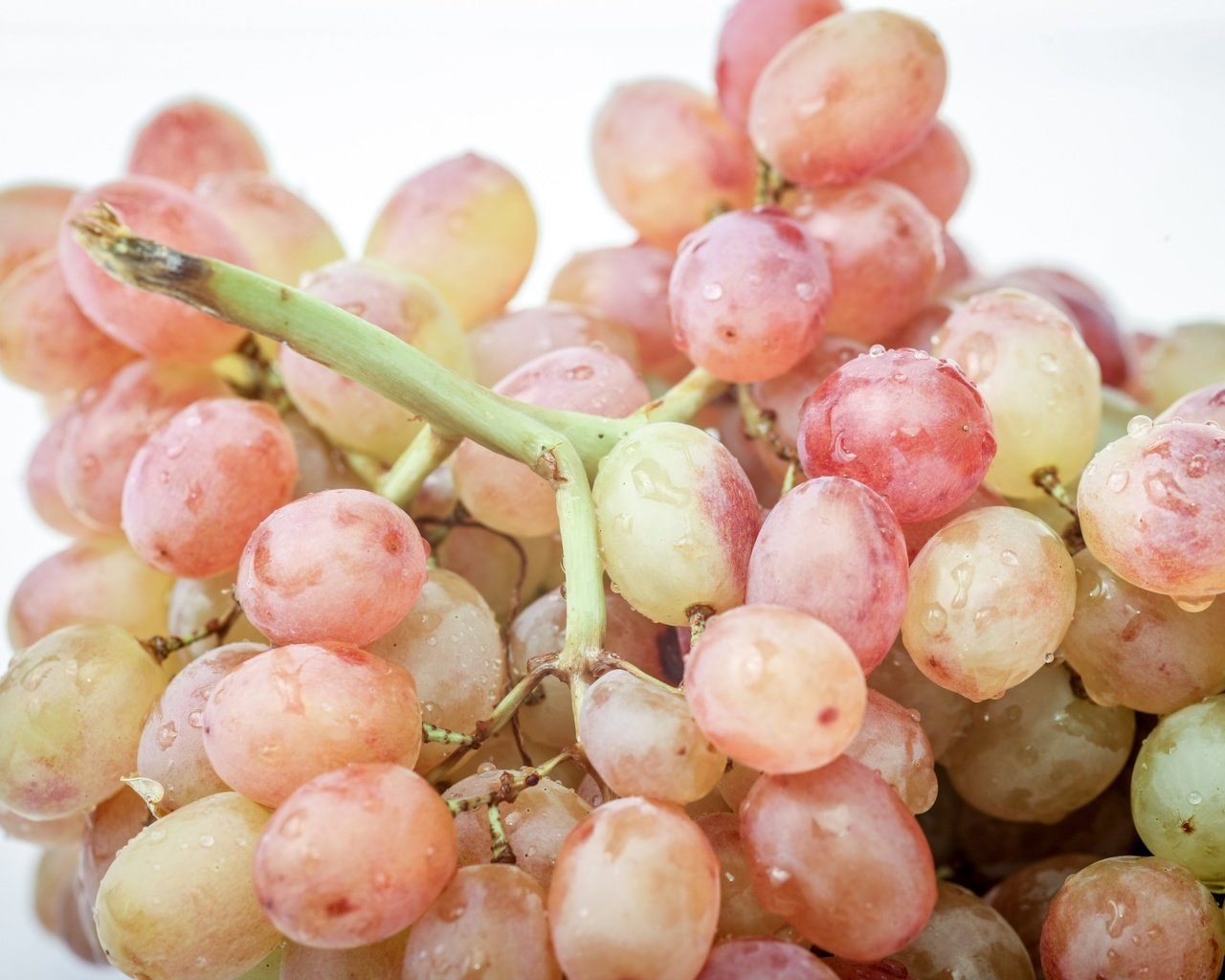 Обои макро, виноград, капли, ягоды, гроздь, macro, grapes, drops, berries, bunch разрешение 3000x2000 Загрузить