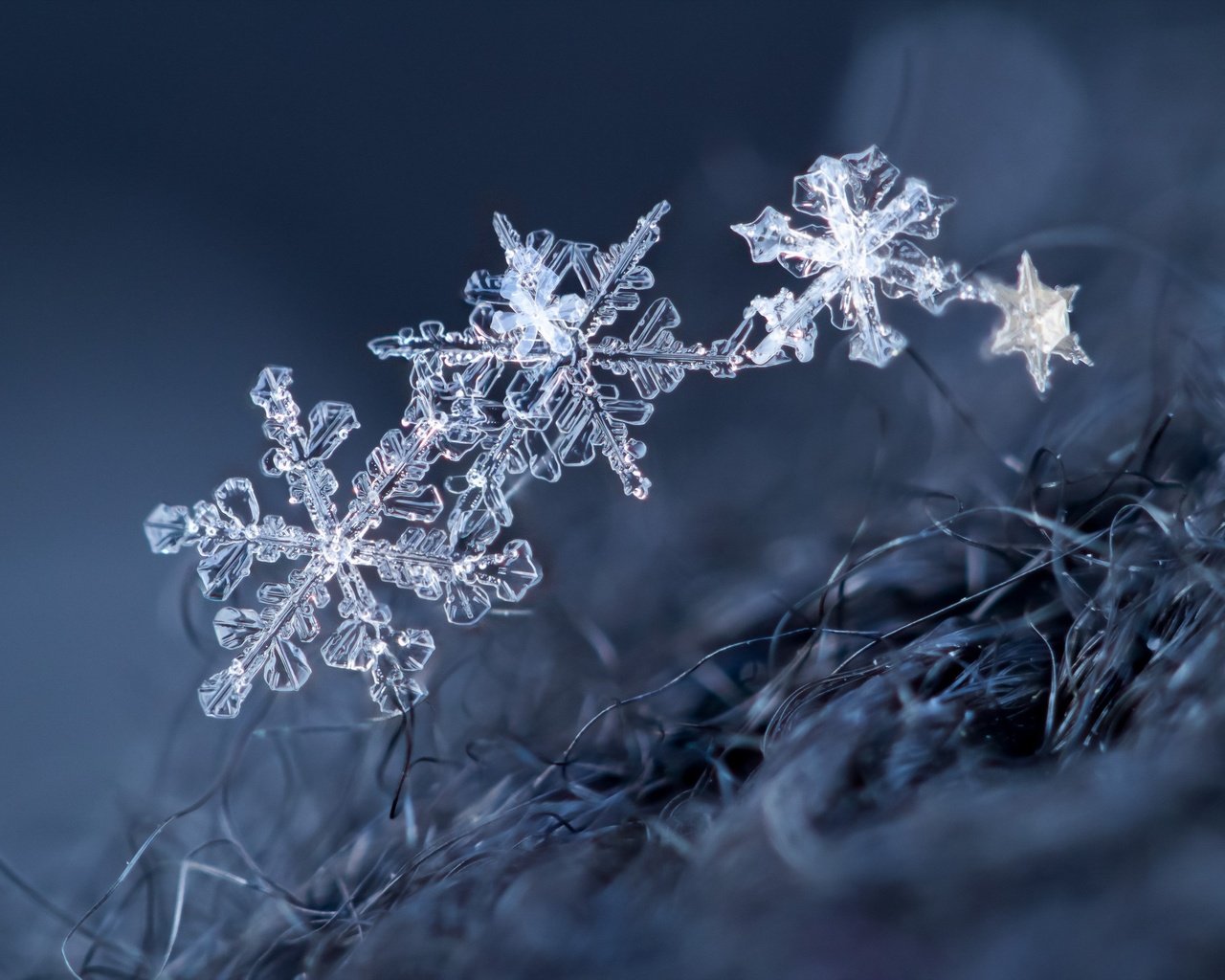 Обои макро, снежинки, фон, снежинка, кристаллы, macro, snowflakes, background, snowflake, crystals разрешение 2560x1707 Загрузить