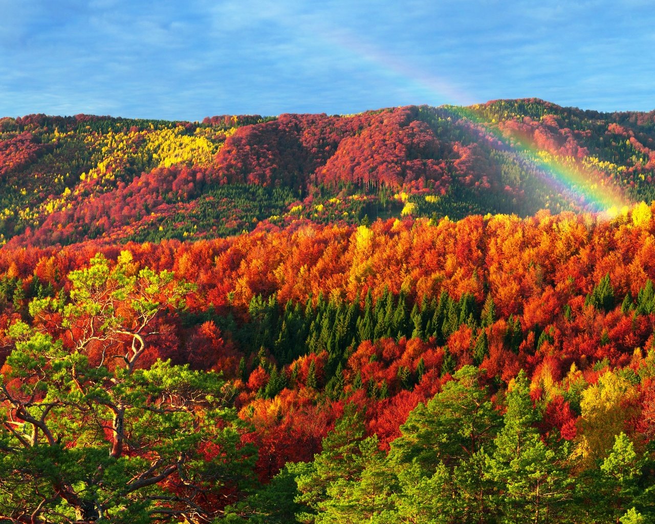 Обои горы, природа, лес, осень, радуга, карпаты, mountains, nature, forest, autumn, rainbow, carpathians разрешение 2880x1800 Загрузить