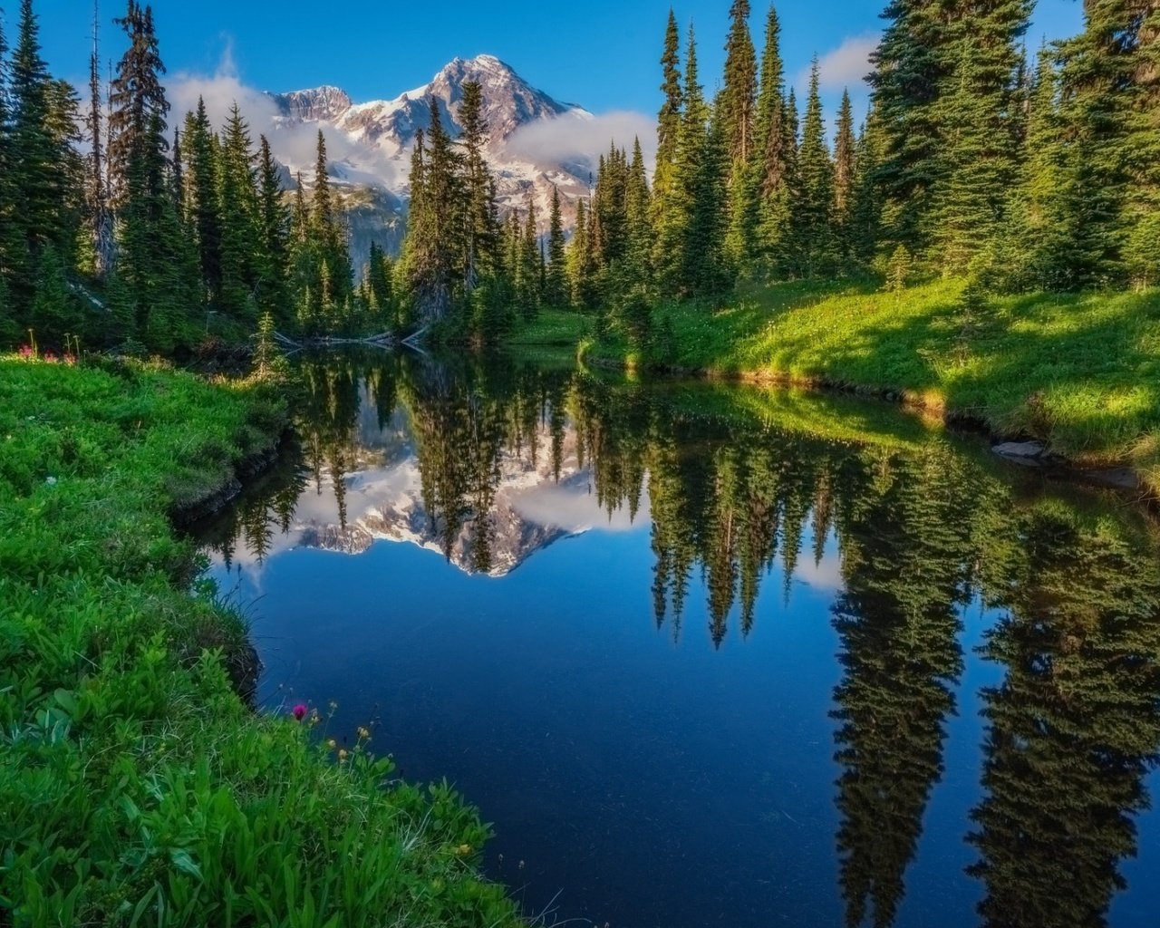 Обои небо, трава, деревья, река, горы, лес, отражение, the sky, grass, trees, river, mountains, forest, reflection разрешение 1920x1200 Загрузить