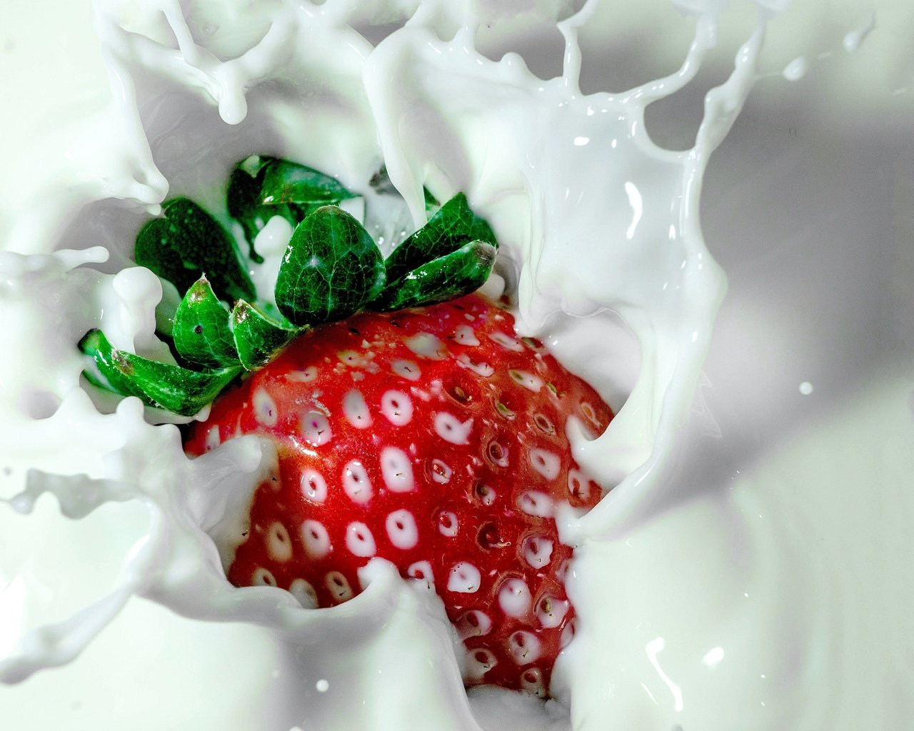 Обои ягода, еда, клубника, брызги, всплеск, молоко, berry, food, strawberry, squirt, splash, milk разрешение 4928x3264 Загрузить