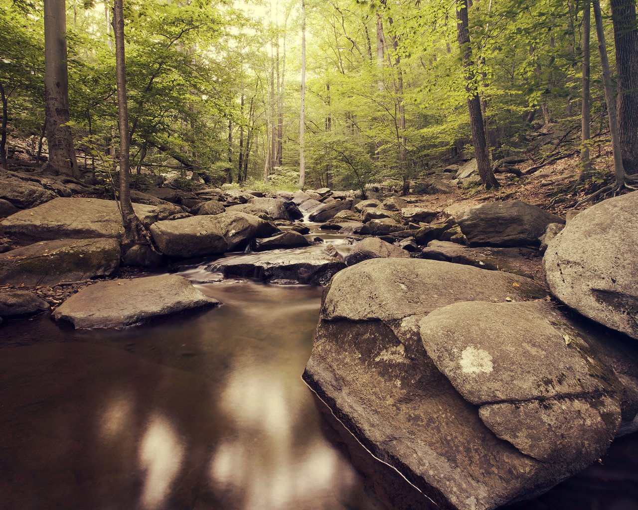 Обои река, природа, камни, лес, river, nature, stones, forest разрешение 2880x1800 Загрузить