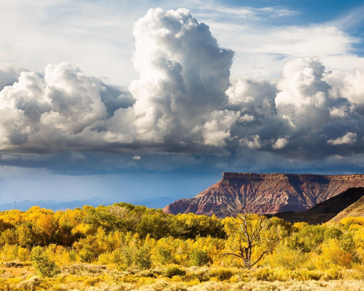 Обои небо, холм, облака, долина, природа, zion national park, горный хребет, пейзаж, поле, горизонт, луг, пастбище, the sky, hill, clouds, valley, nature, mountain range, landscape, field, horizon, meadow, pasture разрешение 2048x1365 Загрузить