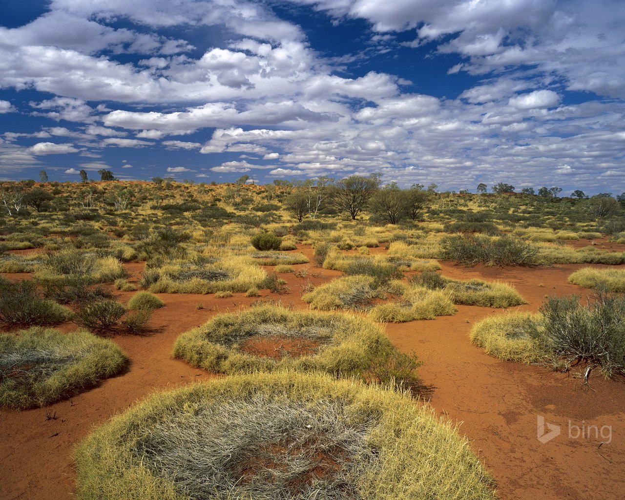 Обои небо, трава, облака, пустыня, австралия, кольца, the sky, grass, clouds, desert, australia, ring разрешение 1920x1200 Загрузить