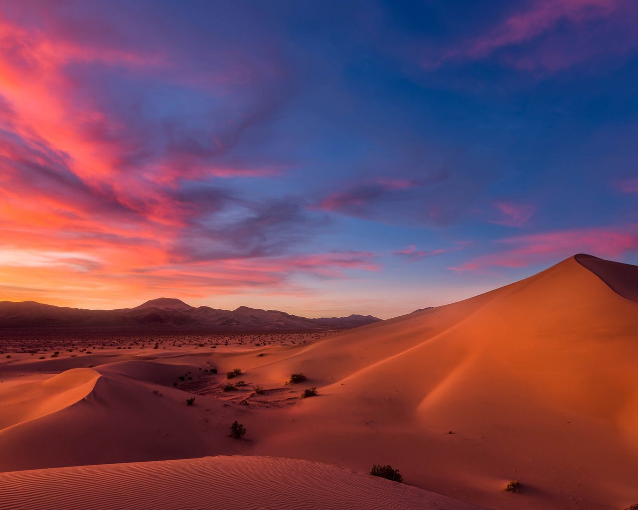 Обои небо, облака, песок, горизонт, пустыня, закат солнца, сумерки, дюны, the sky, clouds, sand, horizon, desert, sunset, twilight, dunes разрешение 1920x1200 Загрузить