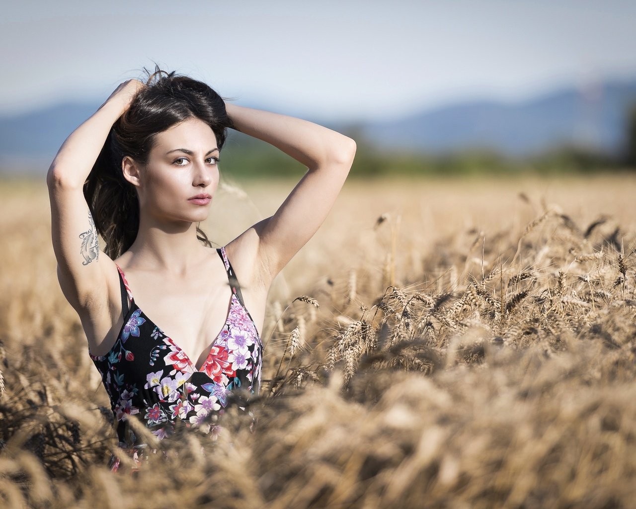 Обои небо, девушка, поле, взгляд, колосья, волосы, лицо, erika, the sky, girl, field, look, ears, hair, face разрешение 3000x2000 Загрузить