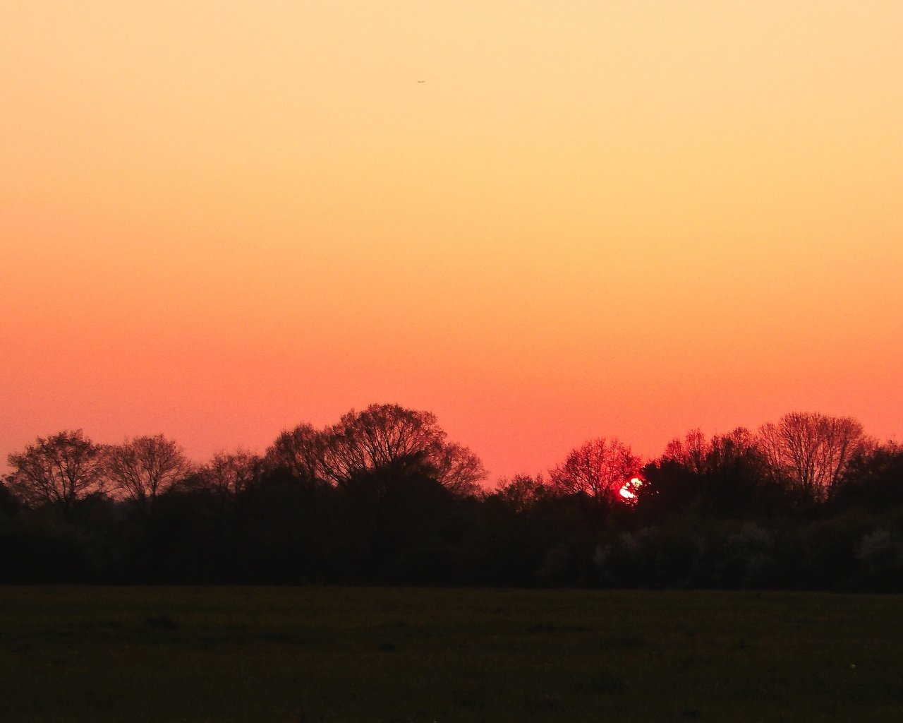 Обои небо, деревья, закат, закат солнца, the sky, trees, sunset разрешение 5136x2696 Загрузить