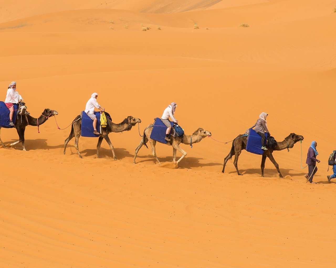 Обои песок, люди, пустыня, бархан, караван, верблюды, sand, people, desert, barkhan, caravan, camels разрешение 2880x1633 Загрузить