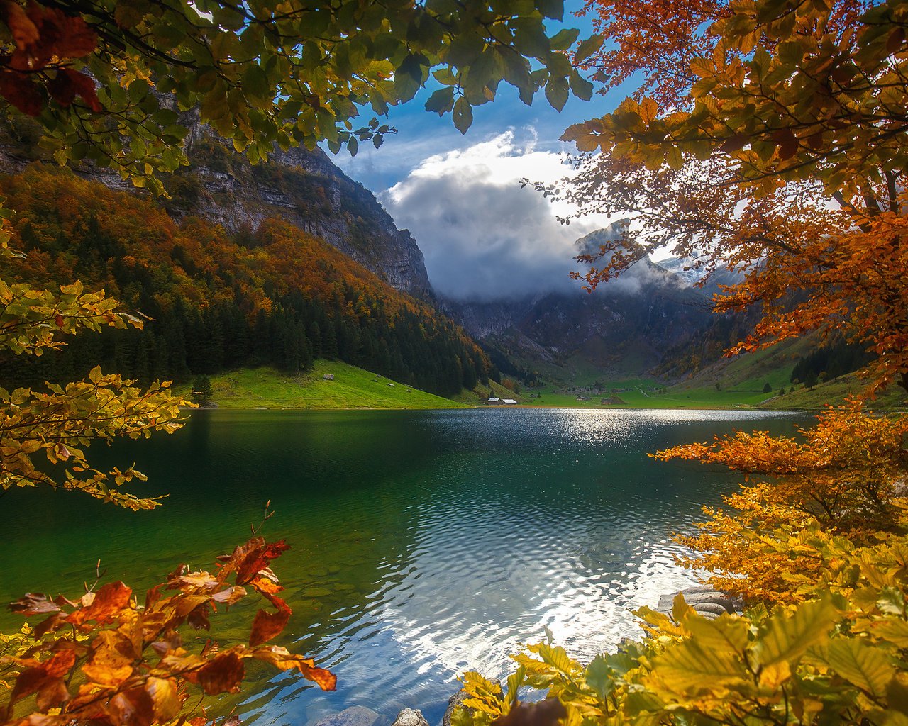 Обои небо, облака, деревья, озеро, горы, лес, осень, the sky, clouds, trees, lake, mountains, forest, autumn разрешение 1920x1200 Загрузить