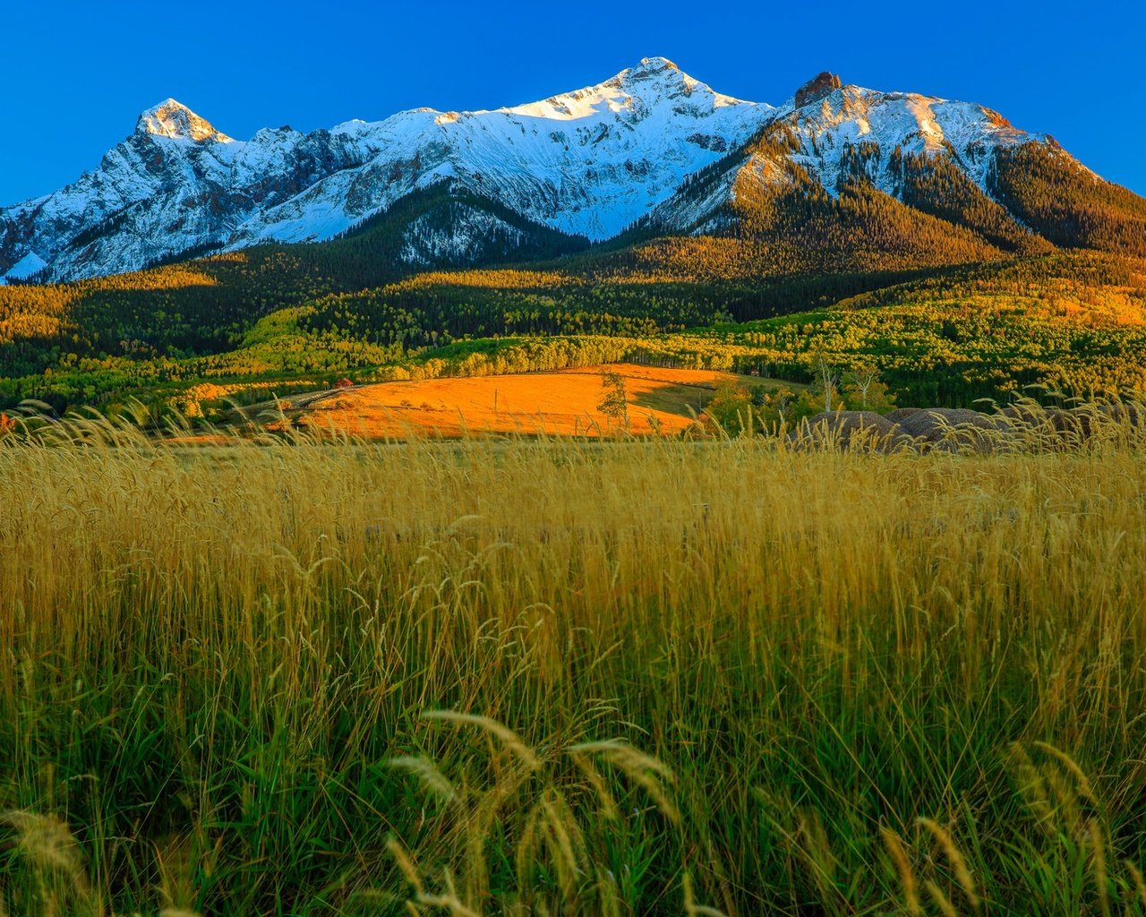 Обои трава, горы, осень, сша, колорадо, аспен, grass, mountains, autumn, usa, colorado, aspen разрешение 1920x1225 Загрузить