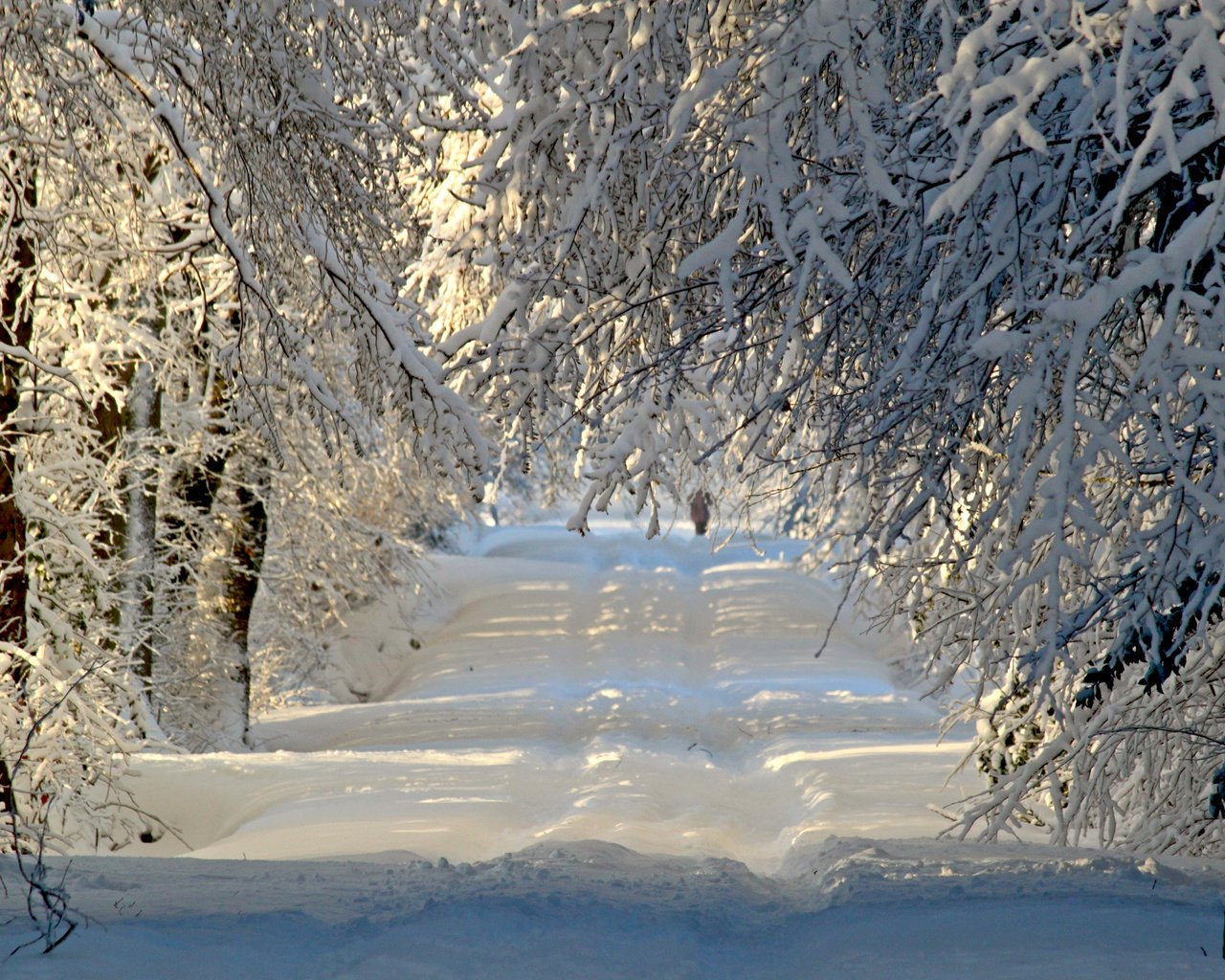 Обои дорога, деревья, снег, природа, лес, зима, ветки, иней, road, trees, snow, nature, forest, winter, branches, frost разрешение 3840x2400 Загрузить